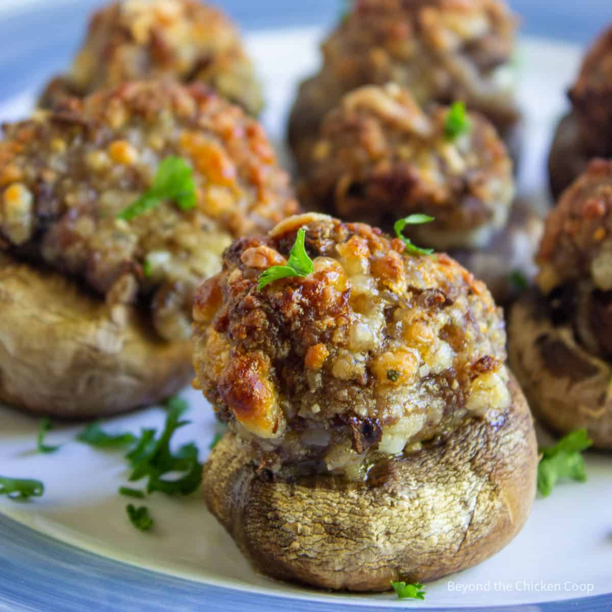 Stuffed mushrooms topped with freshly chopped parsley.