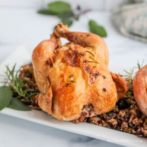 Stuffed cornish hens on a bed of wild rice stuffing.