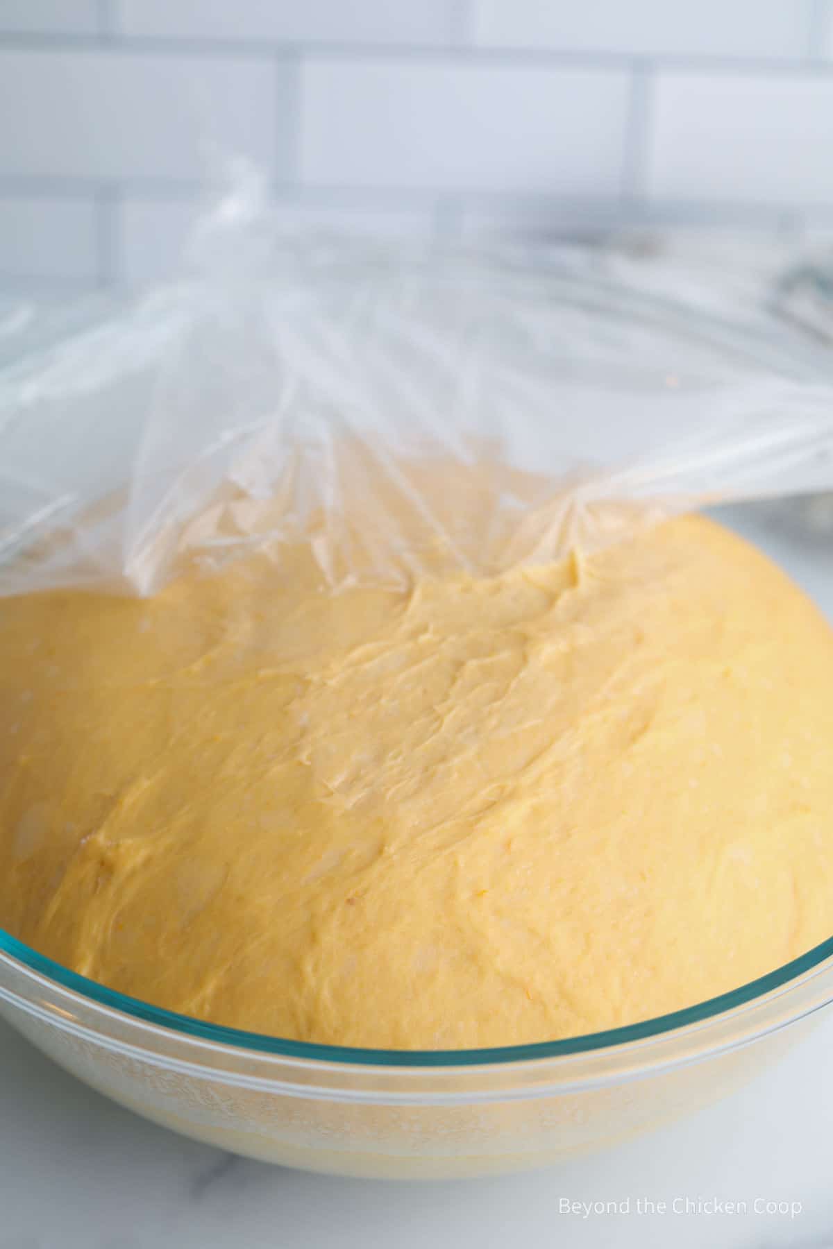 Risen dough in a bowl.