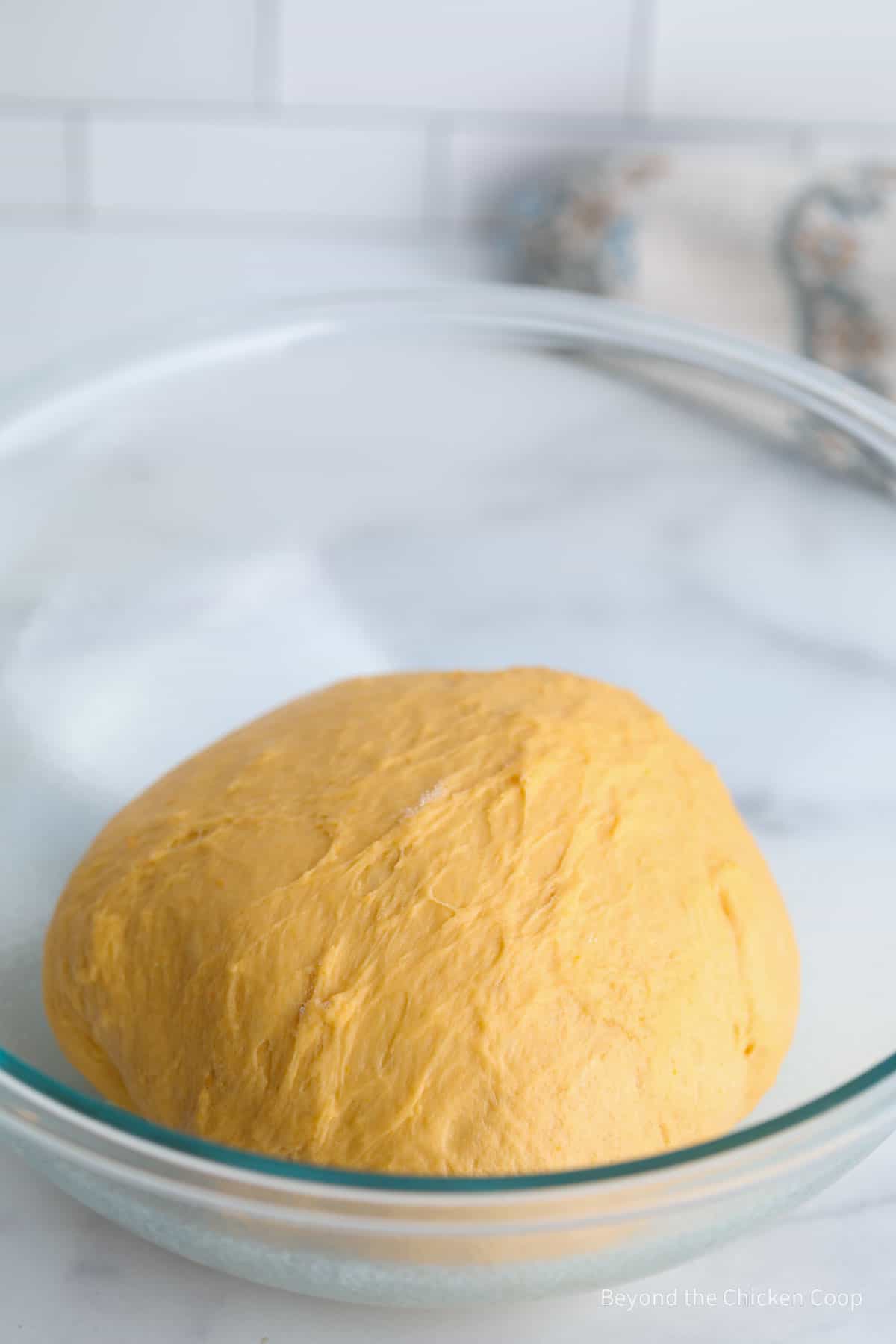 Bread dough in a bowl. 