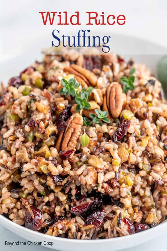 A bowl of rice with pecans and dried cranberries.