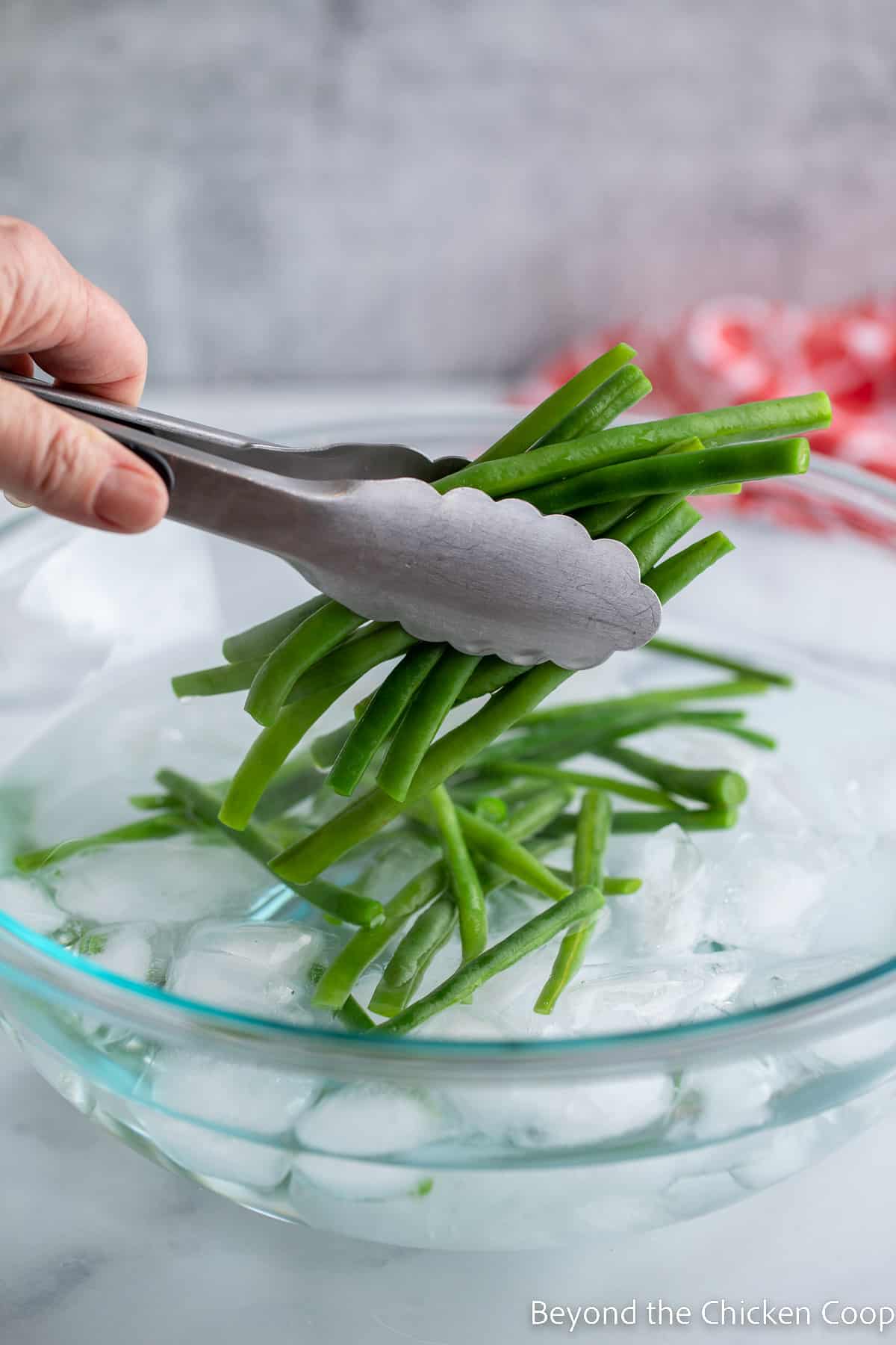 Putting beans into ice water. 