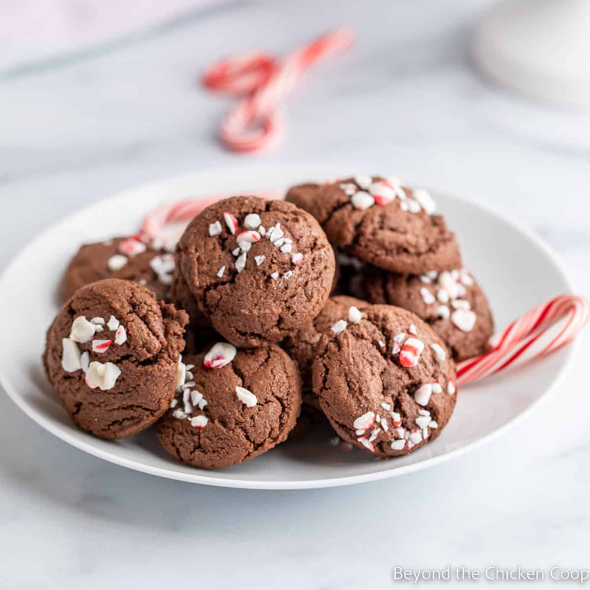 A plate filled with chocolate cookies topped with crushed peppermint candy.