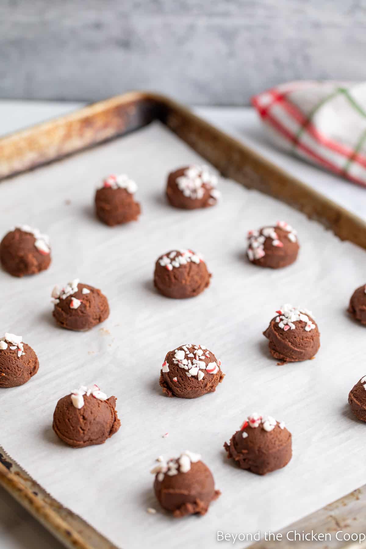 Unbaked chocolate cookies topped with peppermint candies. 