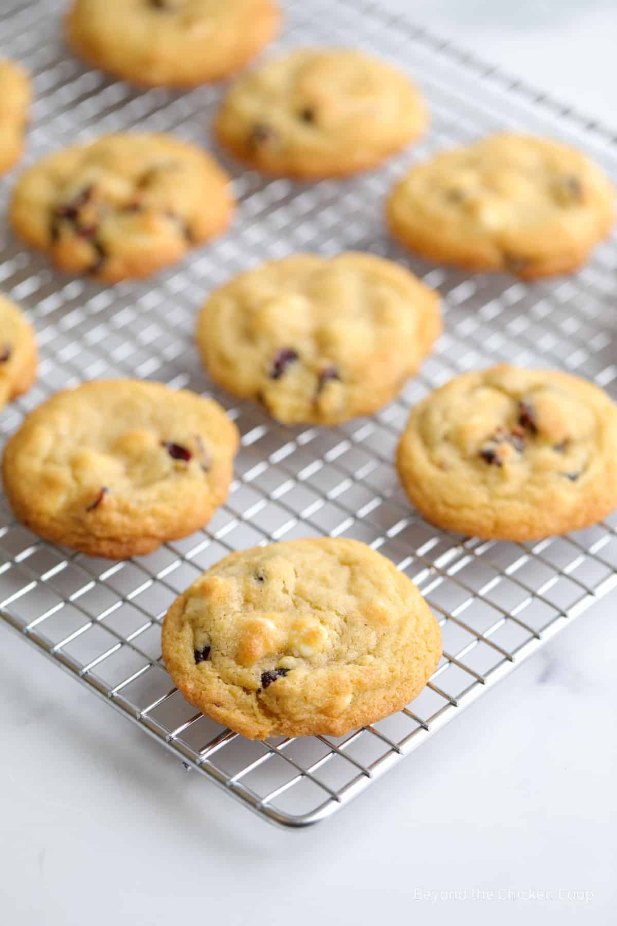 Cookies on a baking rack.