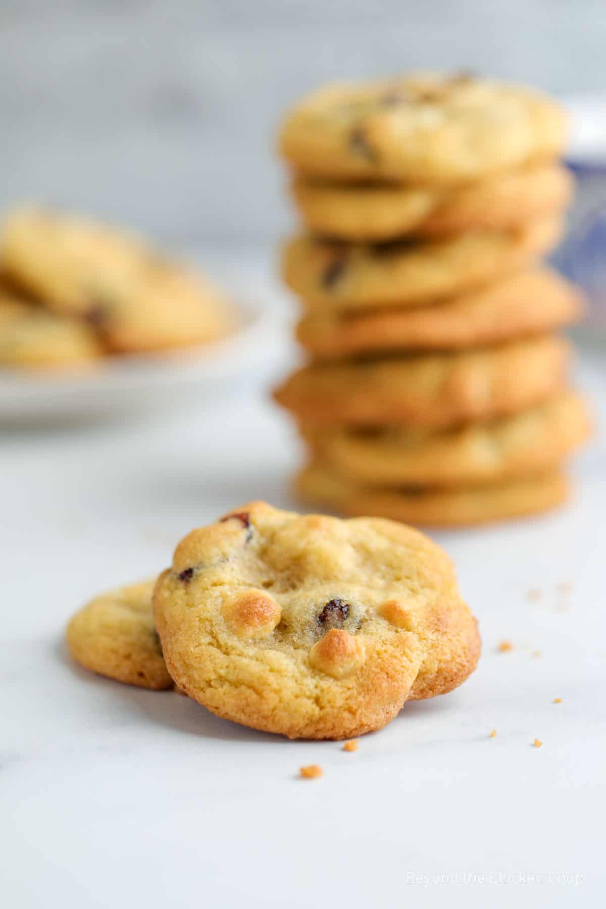 A stack of cookies with dried cranberries.