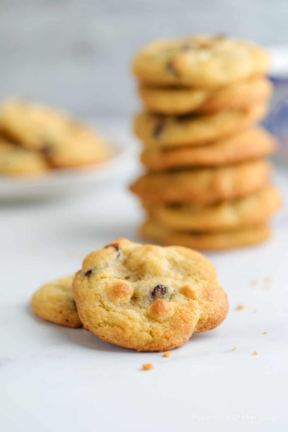 A stack of cookies with dried cranberries. 