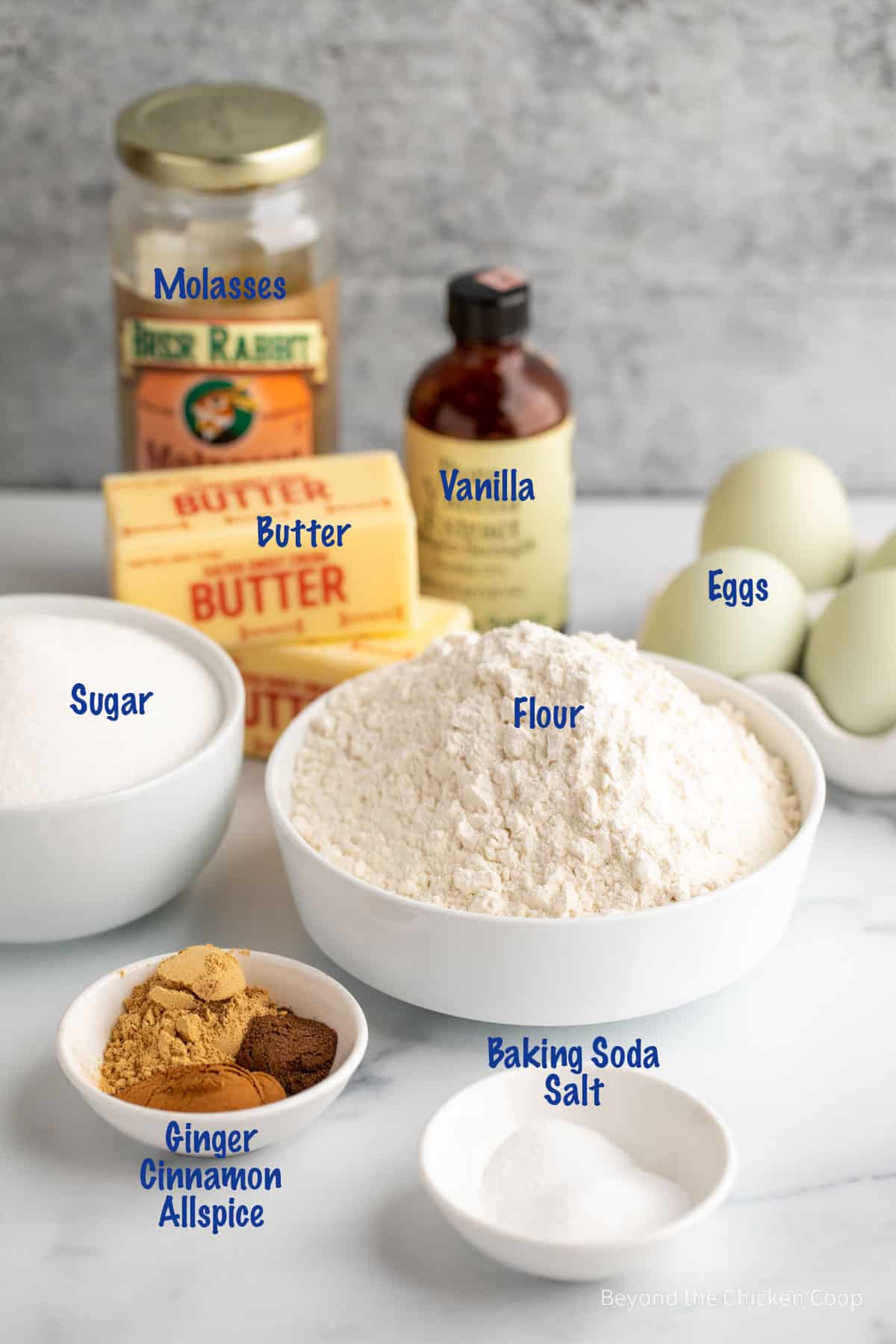 Ingredients for making gingerbread cookies. 