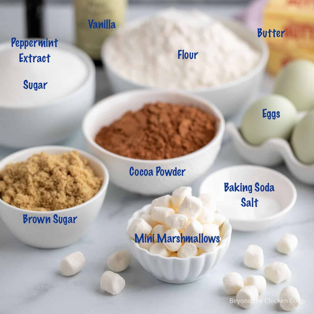 Ingredients for making hot chocolate cookies. 