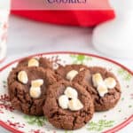 Chocolate cookies on a snowflake patterned plate.