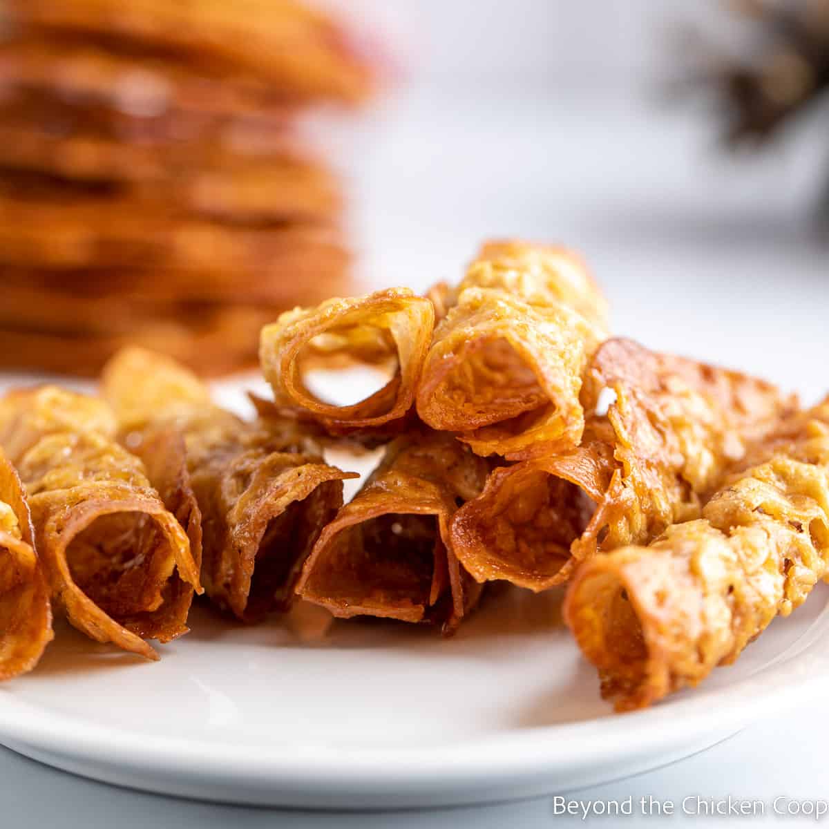 Rolled tile cookies on a plate.