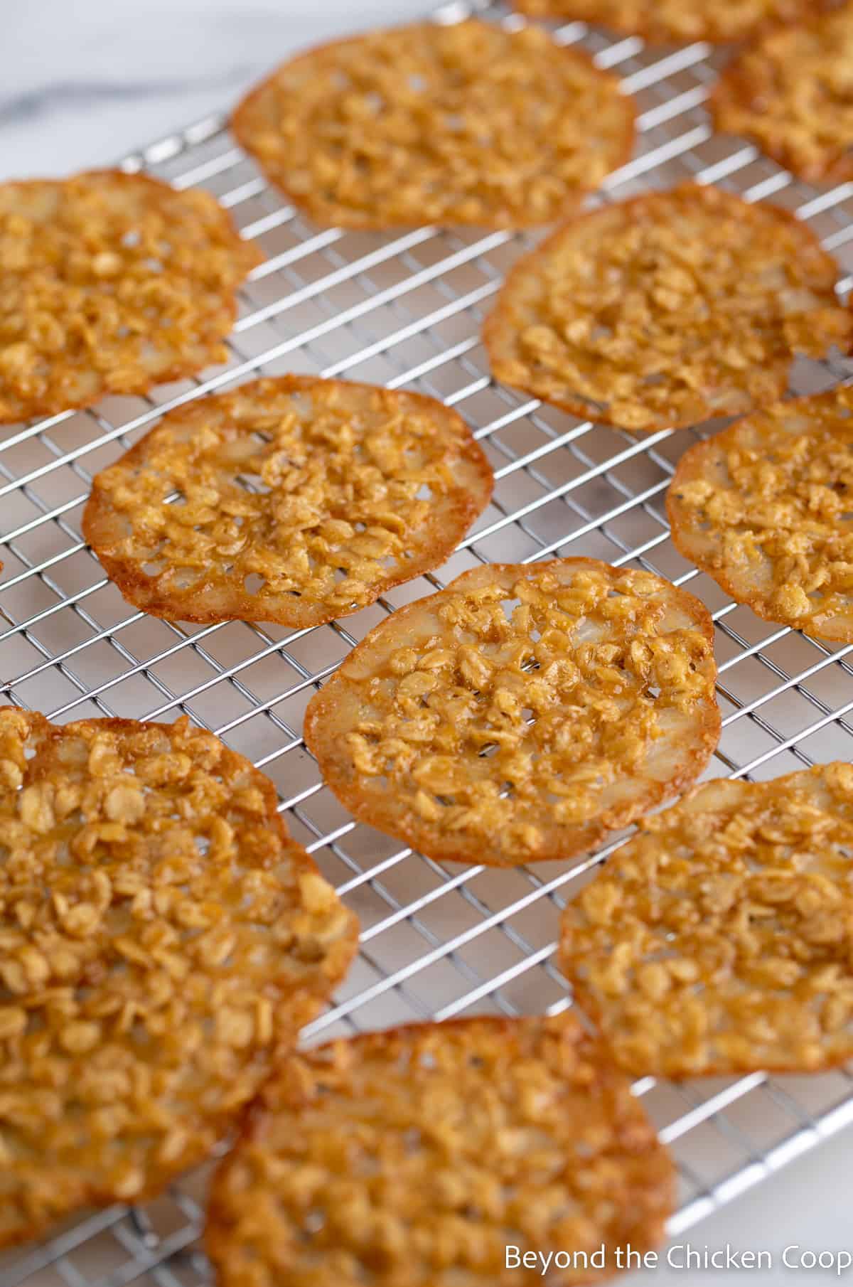 Oatmeal cookies on a baking rack.