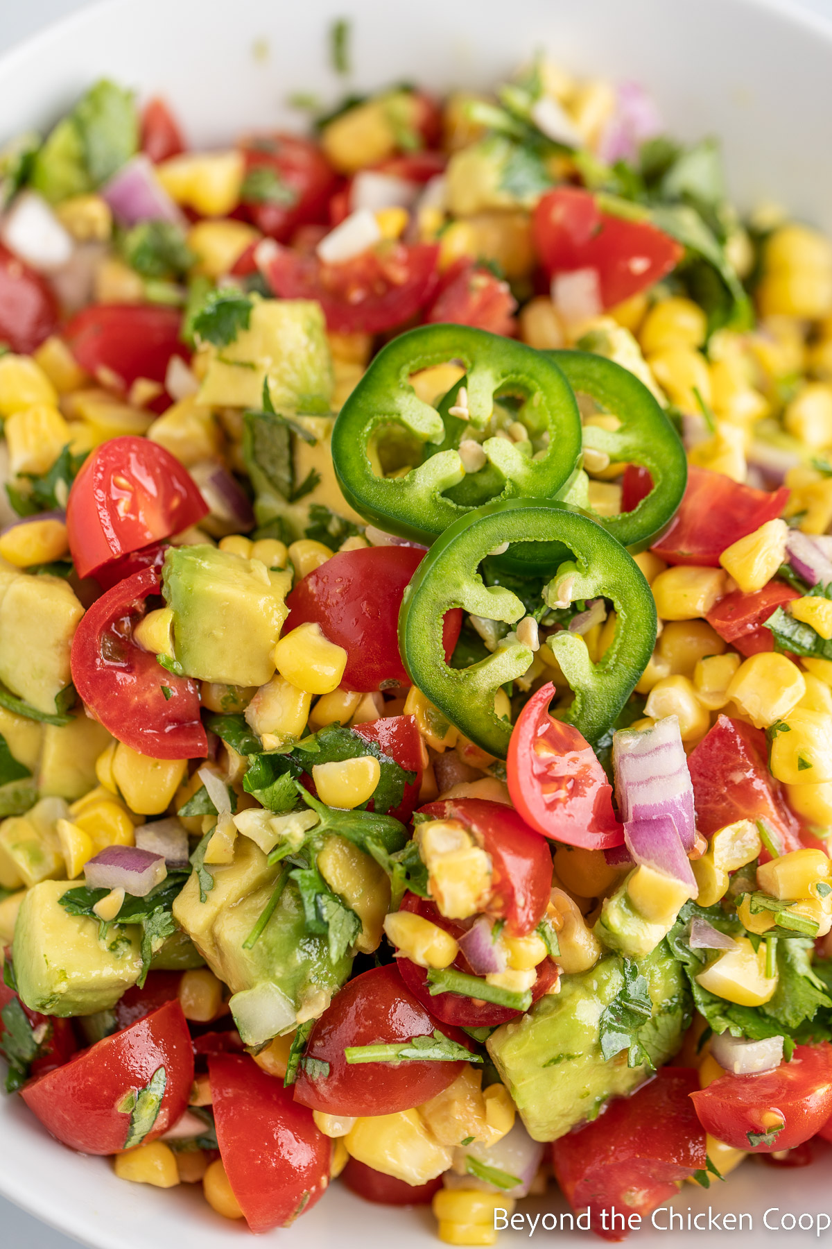 A closeup shot of a salad with corn, avocados, tomatoes and jalapenos. 