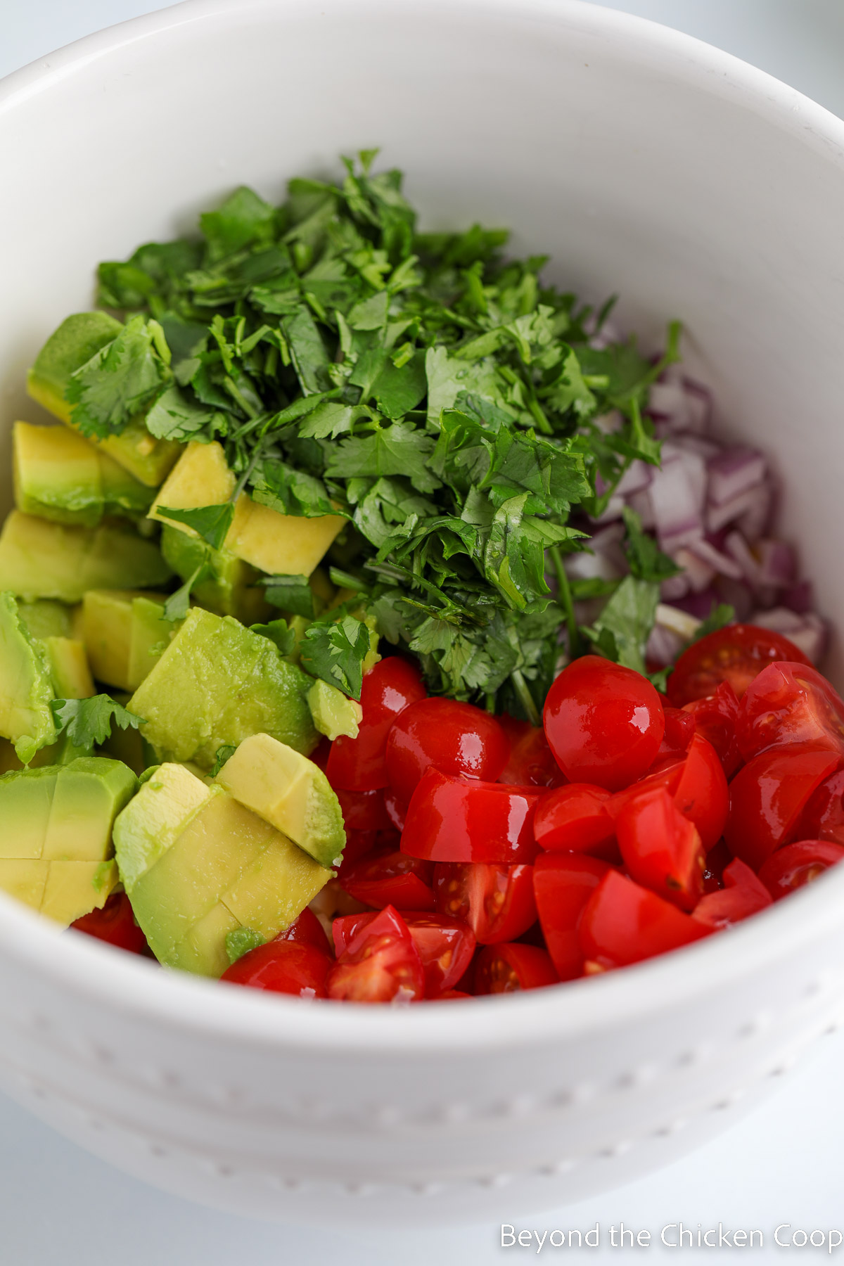A bowl with chopped tomatoes, onions, avocado and herbs.