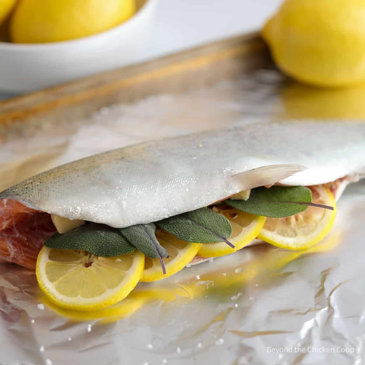 A whole trout filled with lemons and sage. 