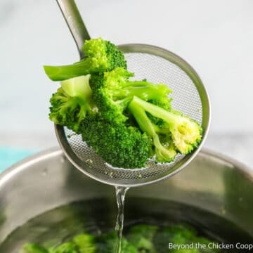 Broccoli on a strainer over a pot of water.