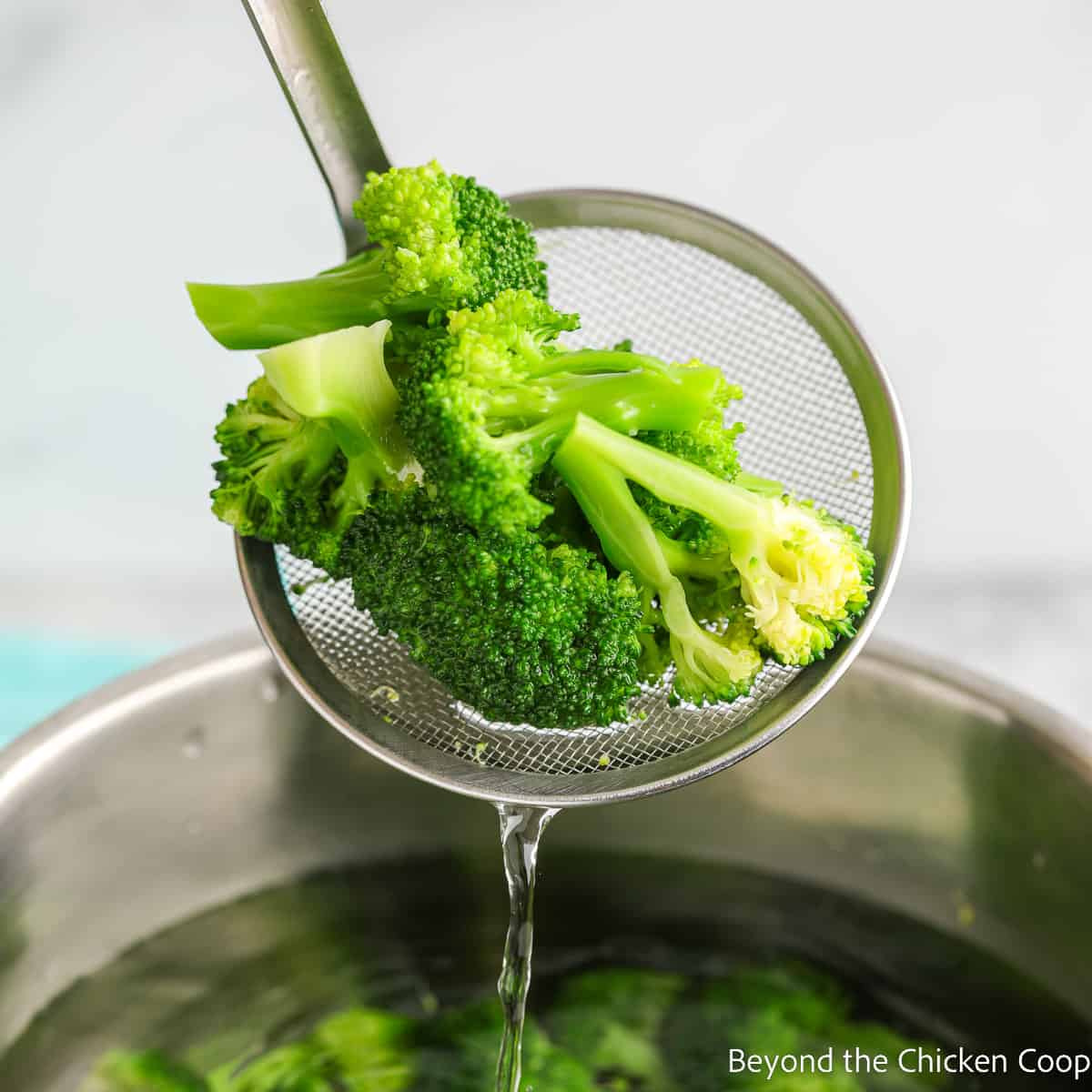 Broccoli on a strainer over a pot of water. 