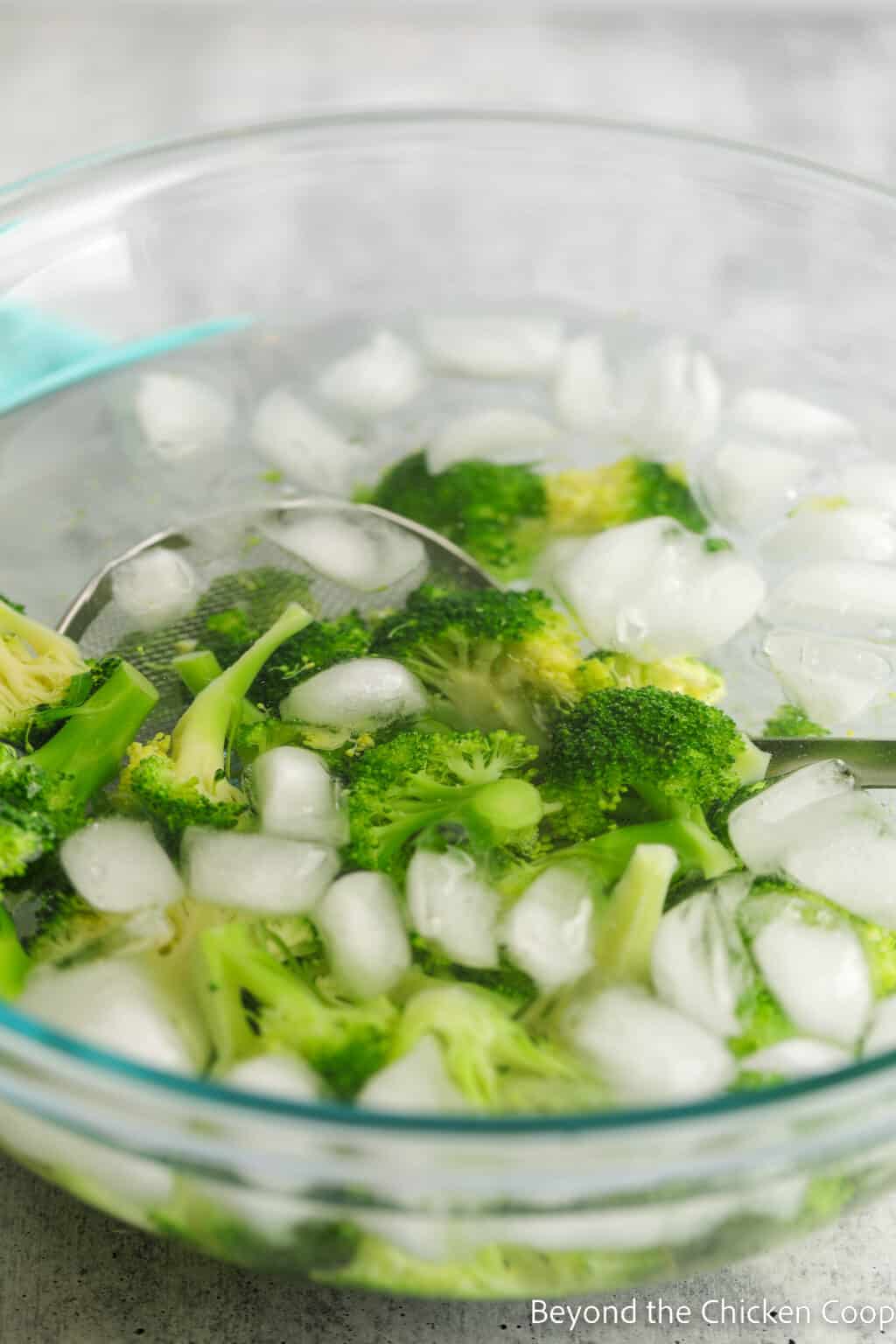 Blanching Broccoli Beyond The Chicken Coop
