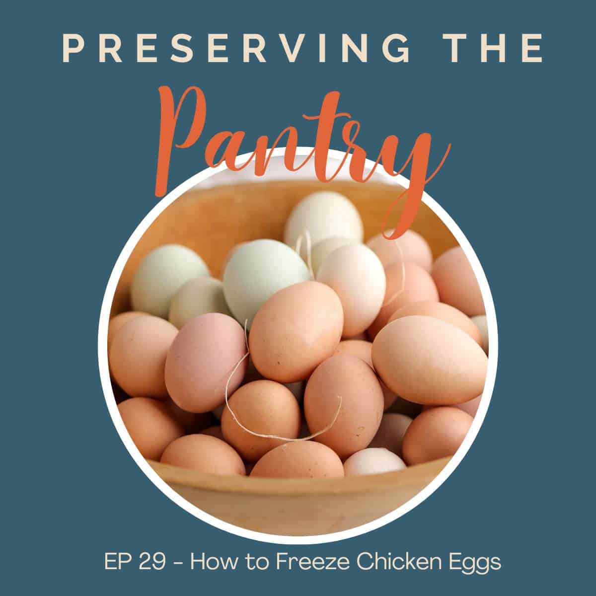 episode-29-how-to-freeze-chicken-eggs-beyond-the-chicken-coop