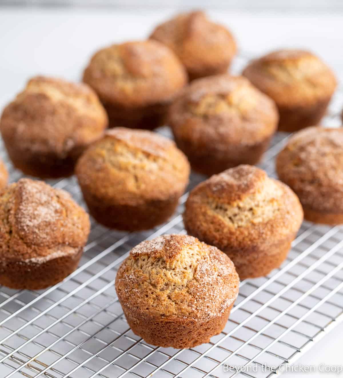 Muffins on a cooling rack. 