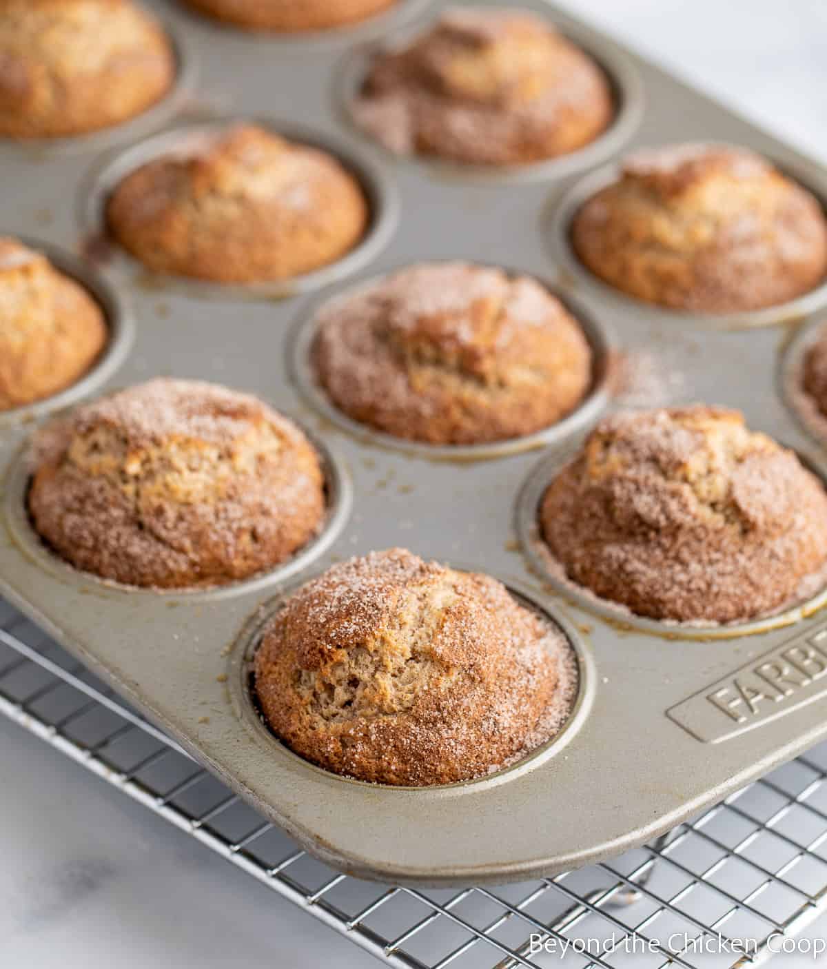 Baked muffins in muffin tin. 