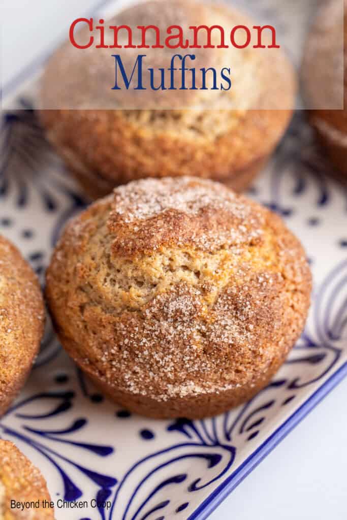 Cinnamon sugar muffins on a blue and white plate.