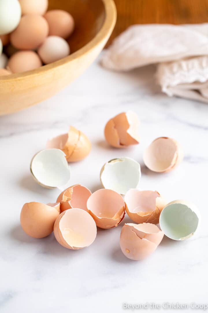 Can Eggs Be Frozen? Beyond The Chicken Coop