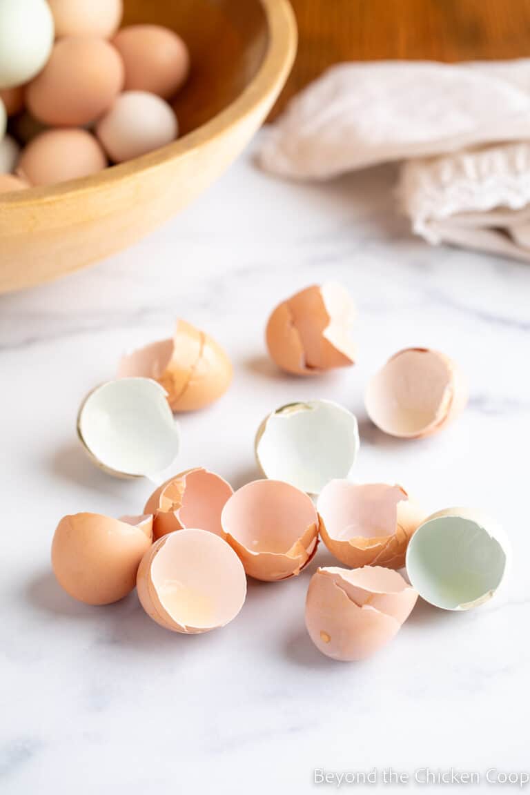 Can Eggs Be Frozen? Beyond The Chicken Coop
