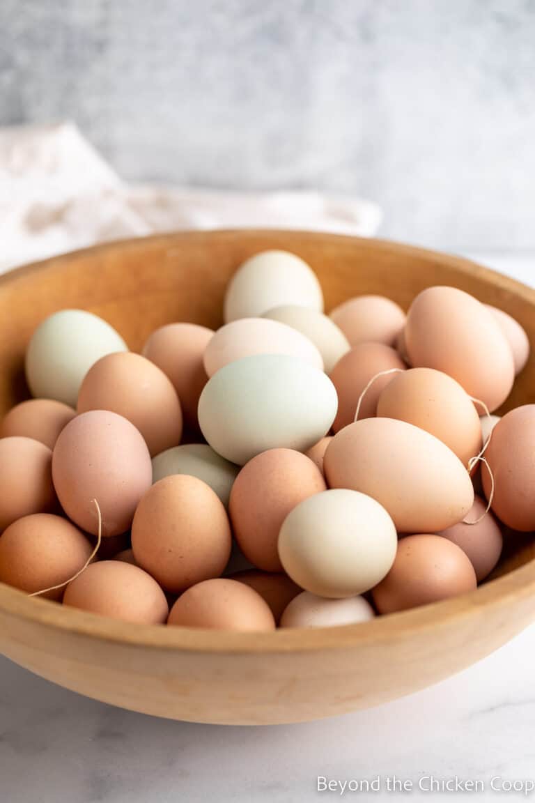 Can Eggs Be Frozen? Beyond The Chicken Coop