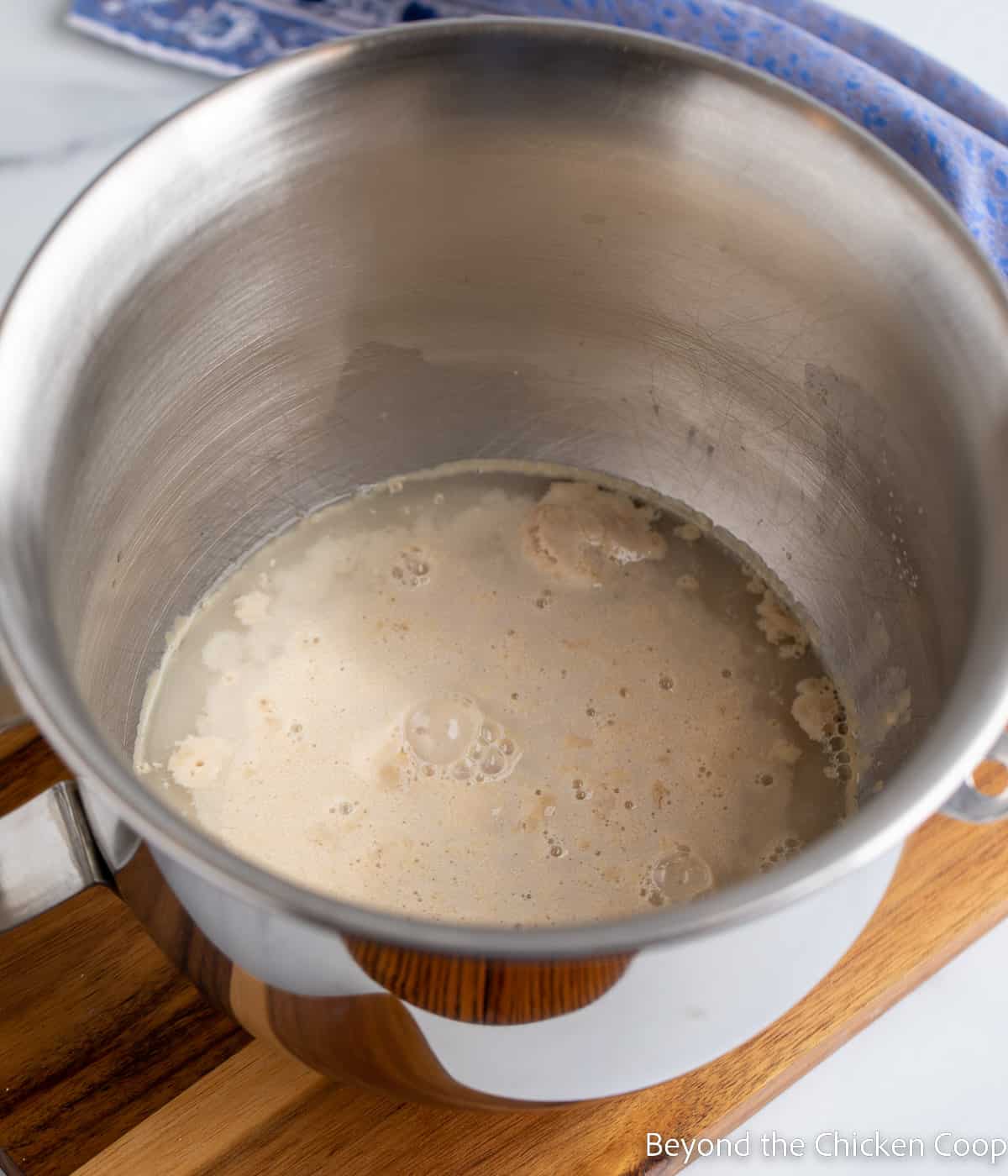 Bubbly yeast in a bowl. 