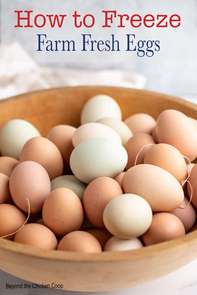 A bowl filled with different colored chicken eggs.