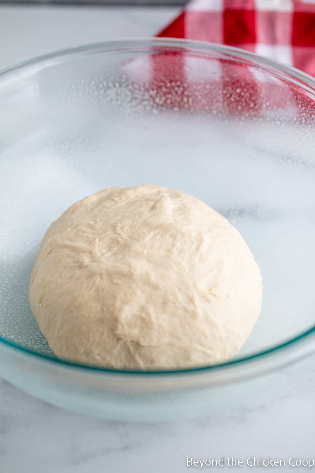 Bread dough in a bowl. 