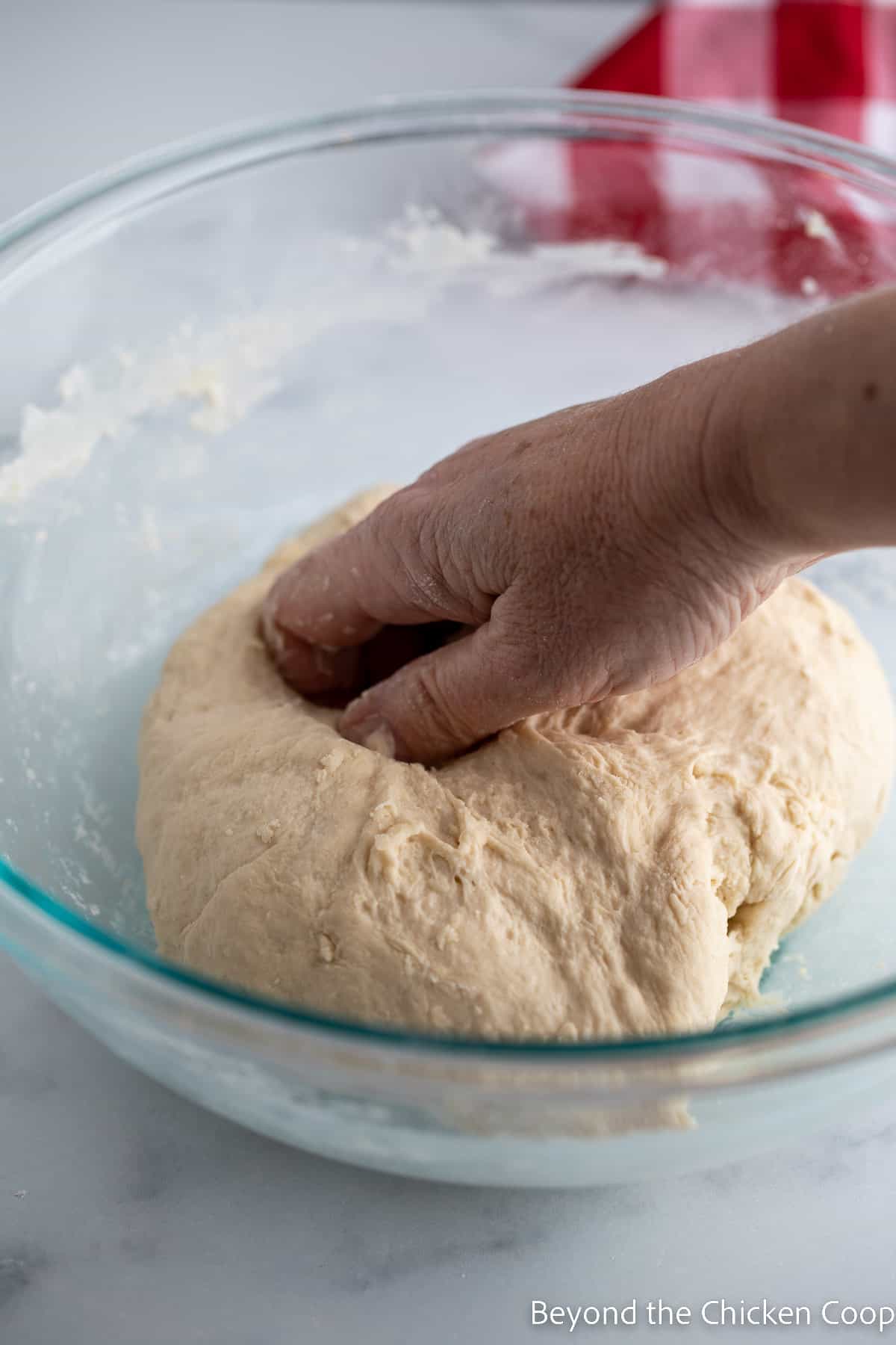 Kneading bread dough. 