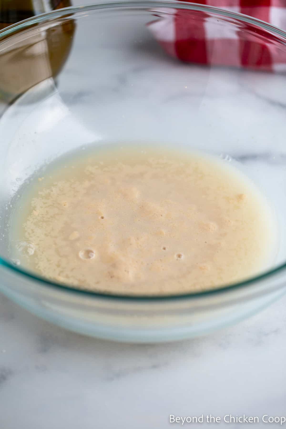 Activated yeast in a bowl. 