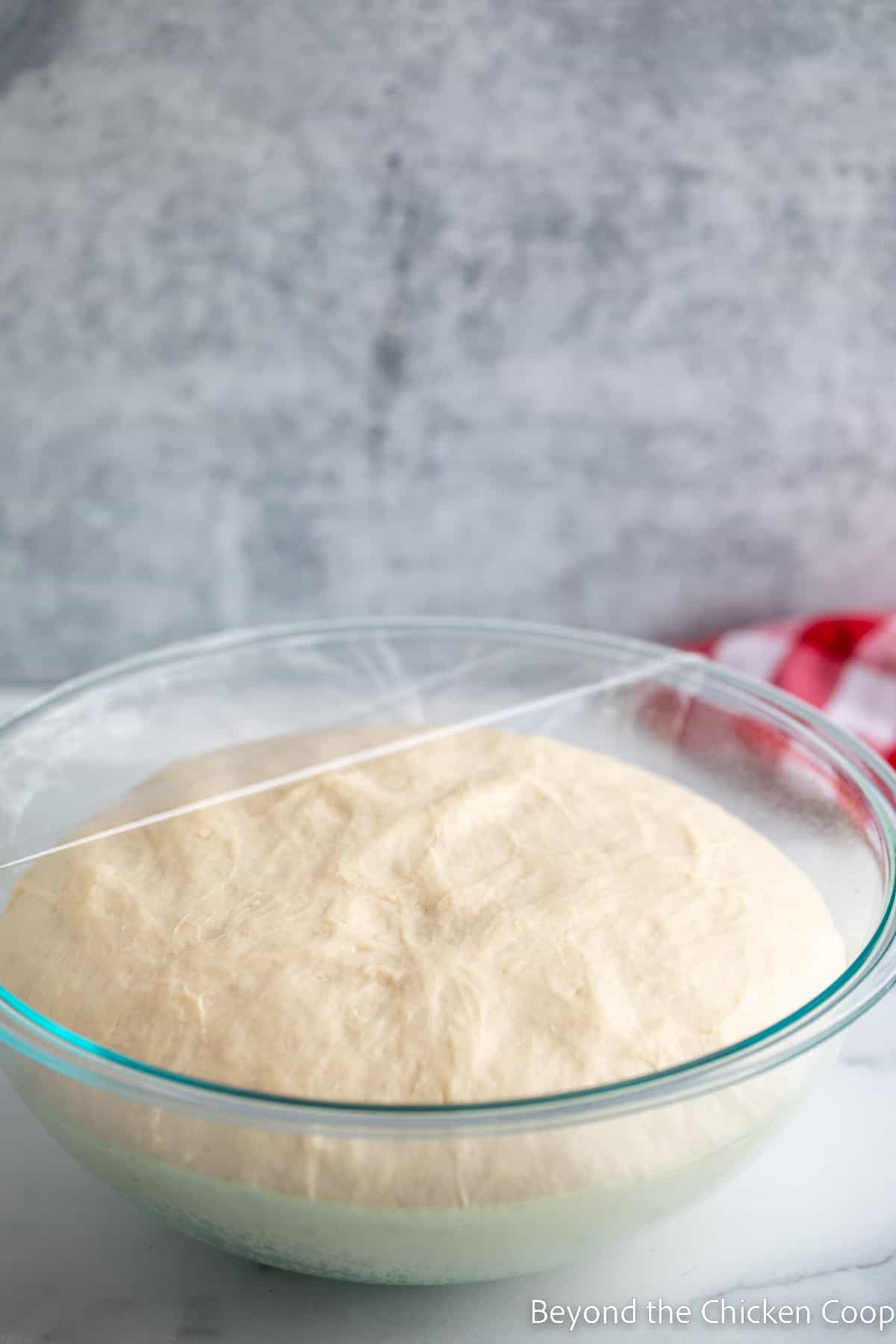 Bread dough that has fully doubled in size.