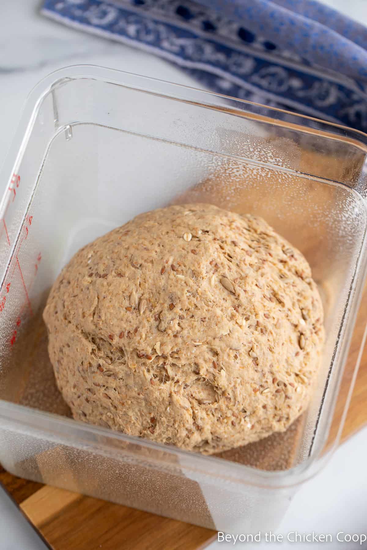 Bread dough in a plastic container.