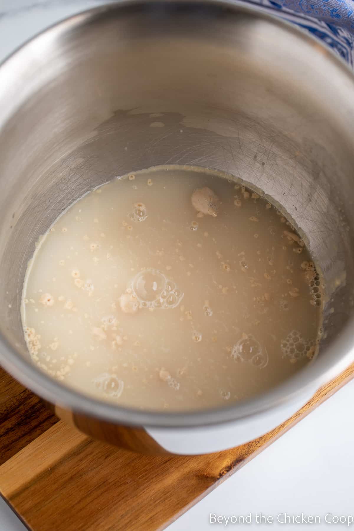 Yeast proofing in a bowl.