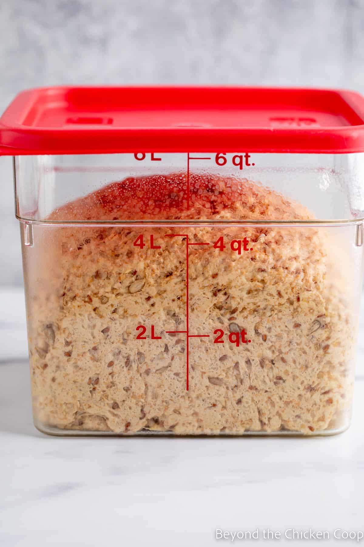 Risen bread dough in a plastic container.