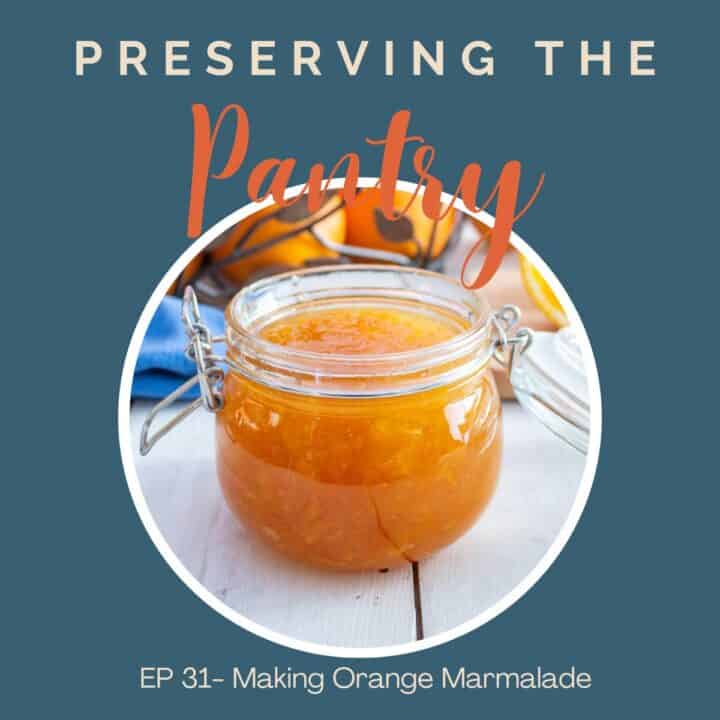 Homemade Onion Soup Mix Beyond The Chicken Coop