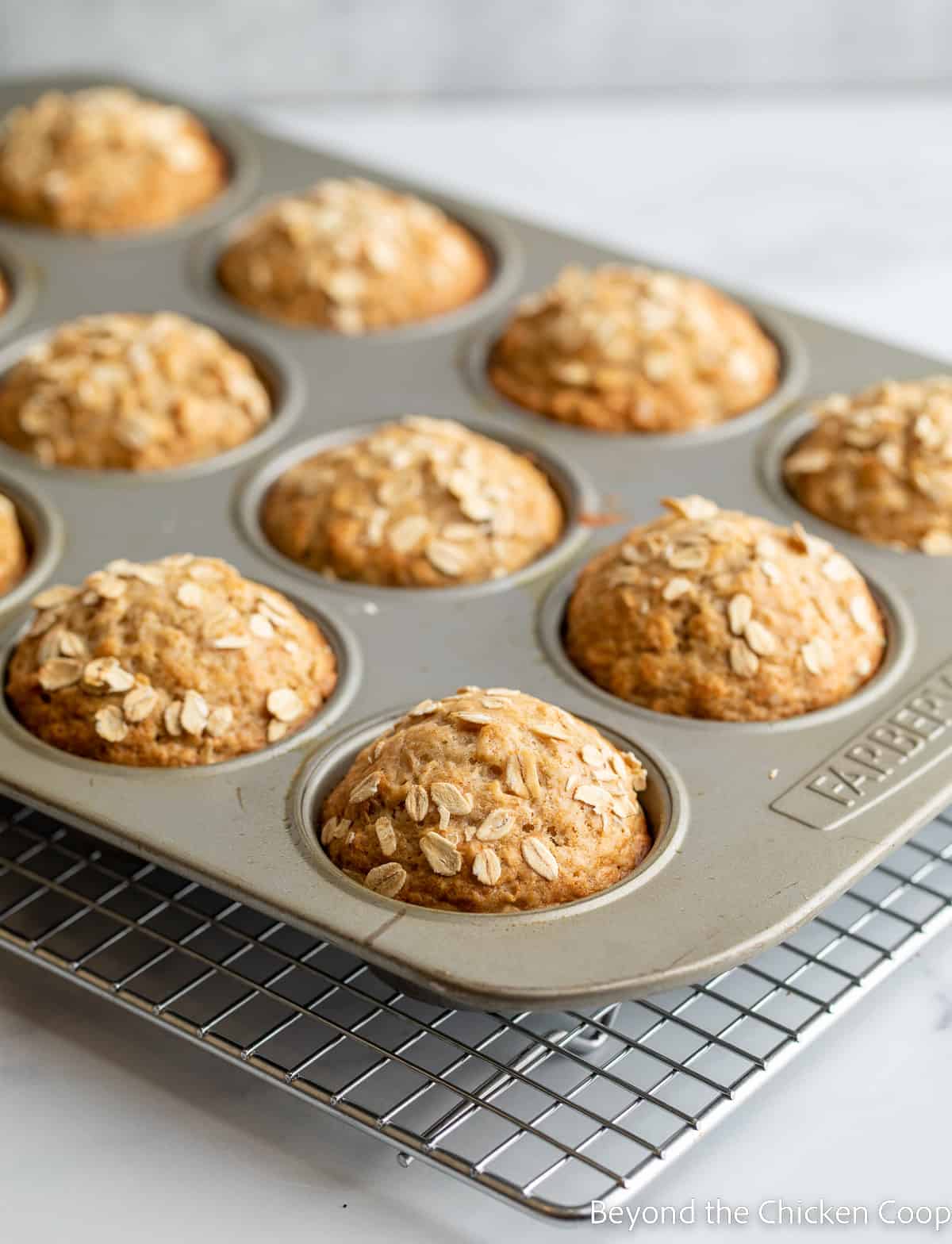 Baked muffin in muffin tin. 