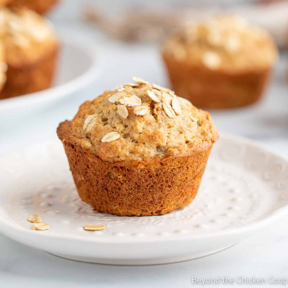 A muffin topped with oats on a white plate.