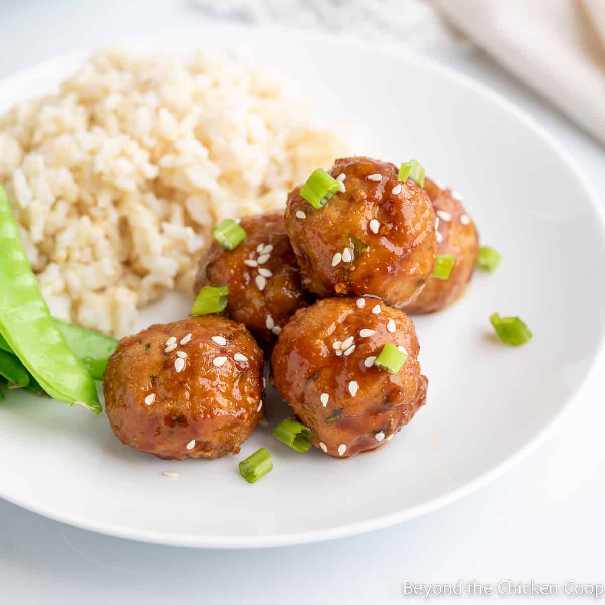 Meatballs topped with sesame seeds next to rice on a plate. 