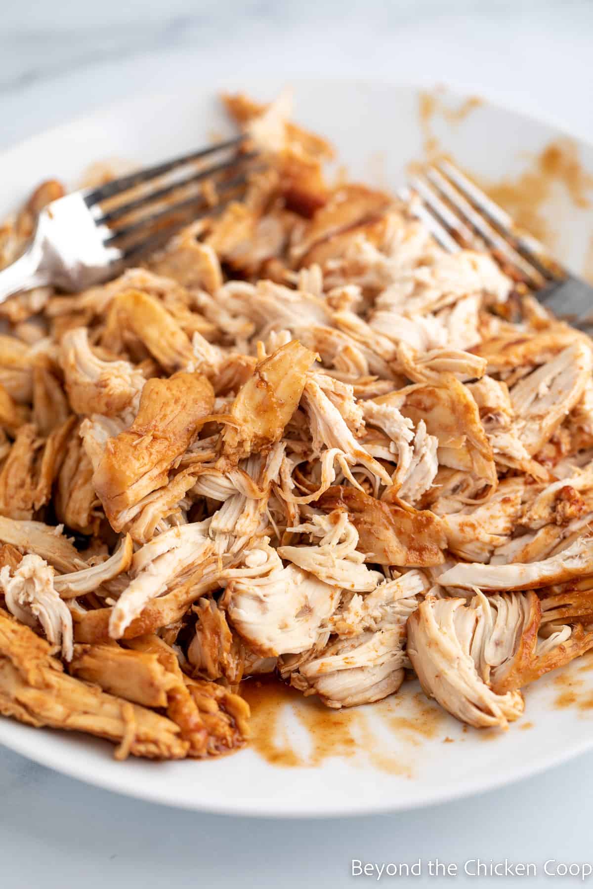 Shredded chicken on a plate. 