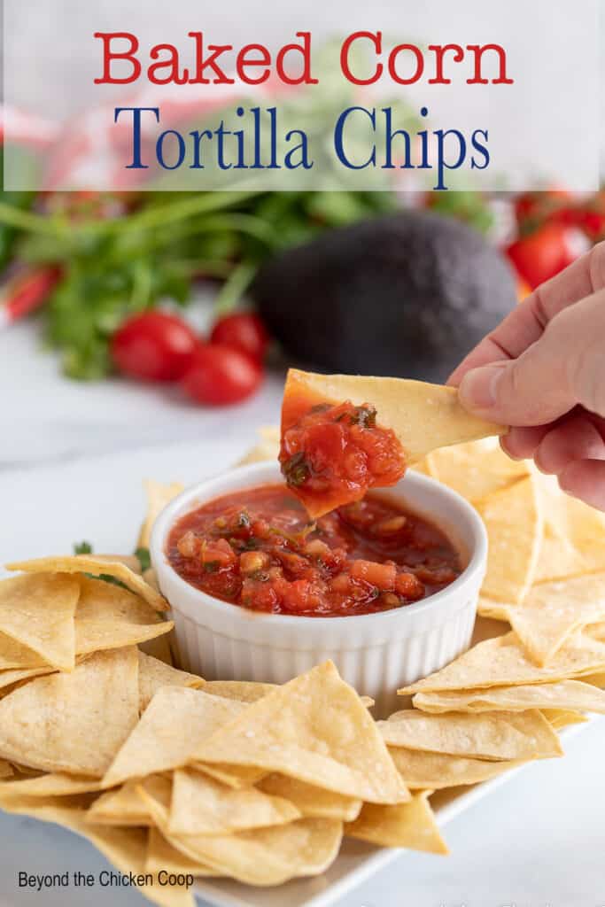 Chips and salsa on a platter.