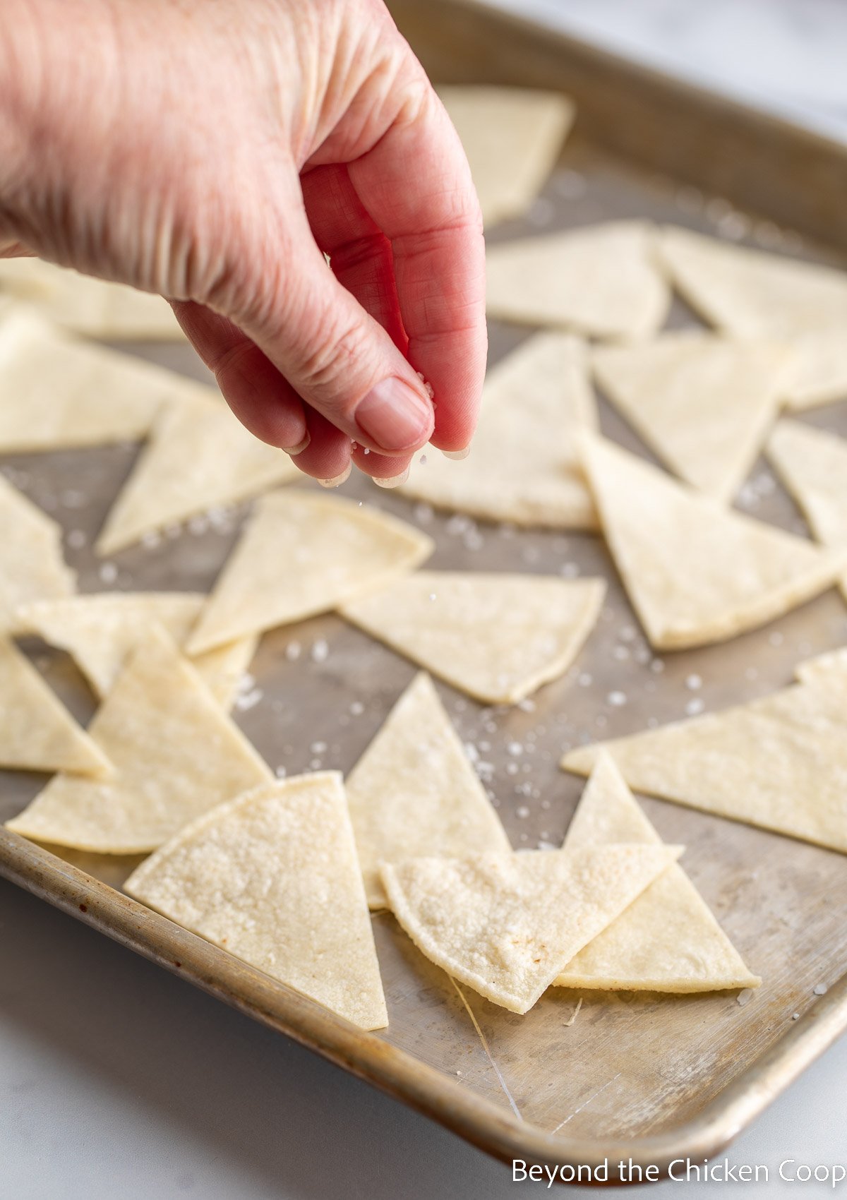 Sprinkling salt on tortilla wedges. 