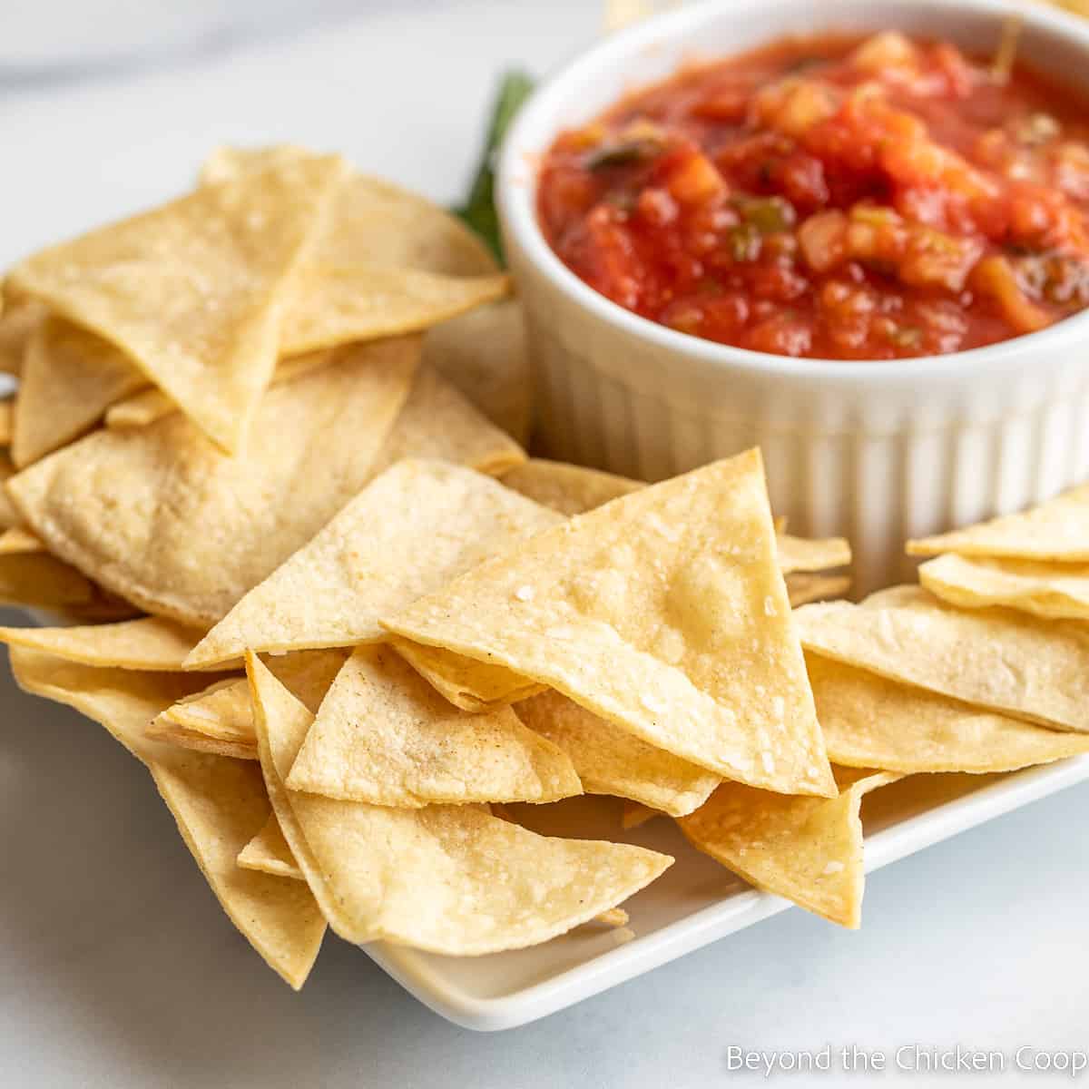 Tortilla chips and a bowl of salsa on a platter.