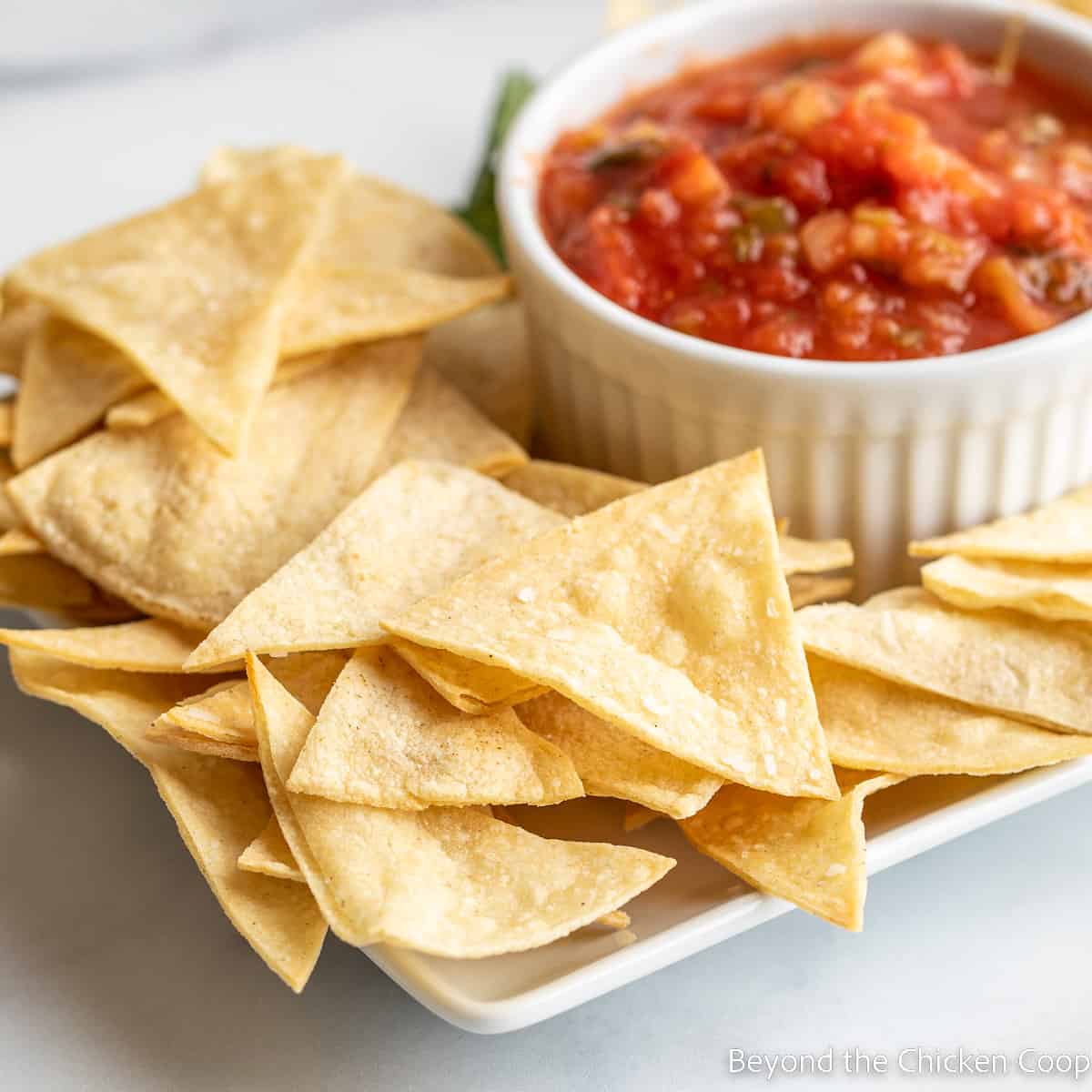 Baked corn tortilla chips and a bowl of salsa on a platter. 