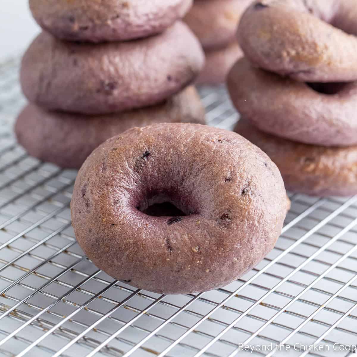 A stack of bagels on a baking rack. 