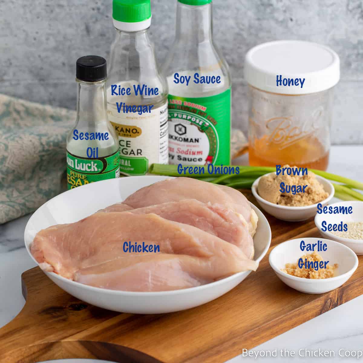 Ingredients for making teriyaki chicken.