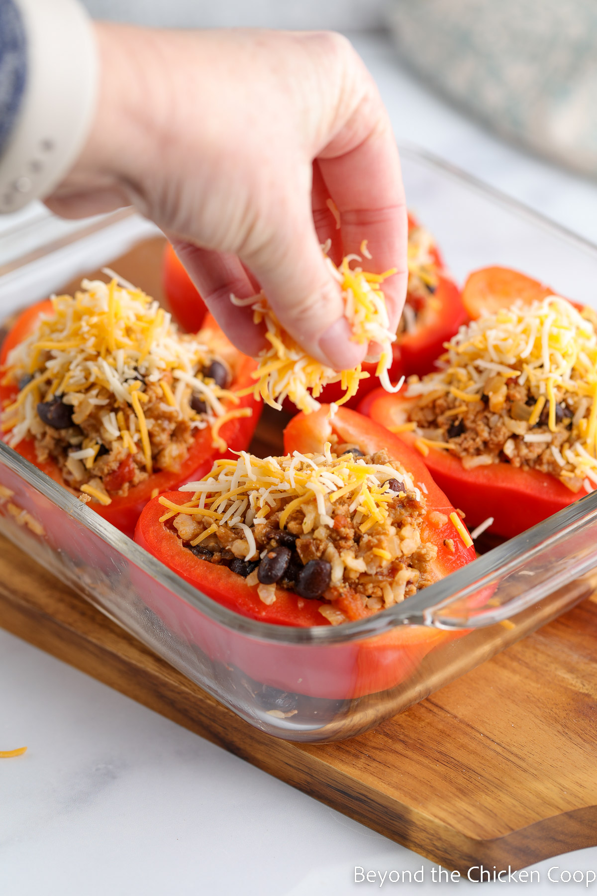 Sprinkling shredded cheese on top of stuffed peppers.